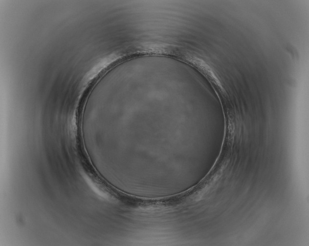 X0000113780674200910071224