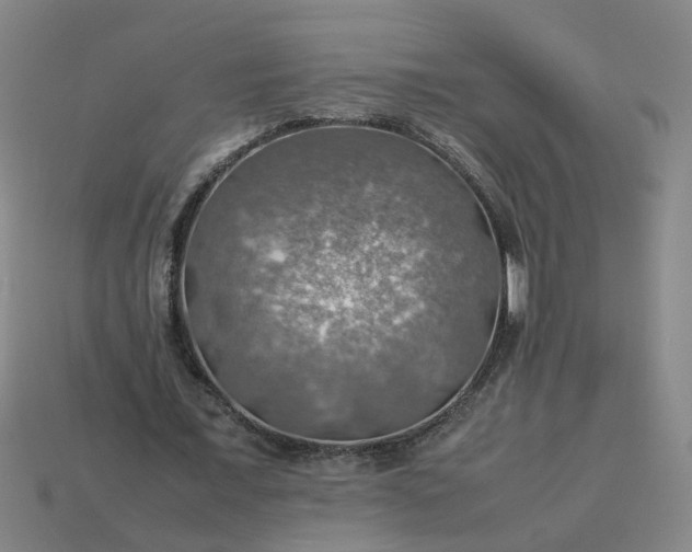 X0000113780675200910071224