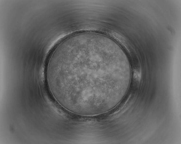 X0000113780676200910071224