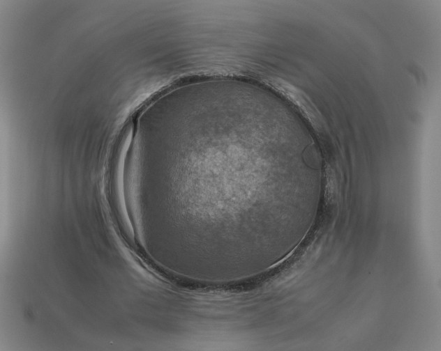 X0000113780677200910071224