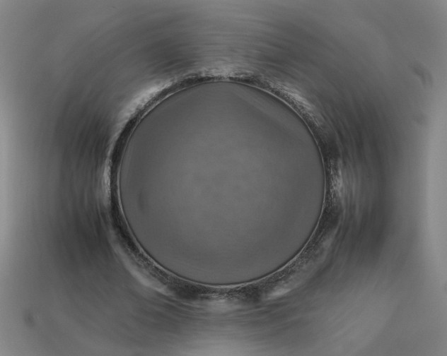 X0000113780678200910071224