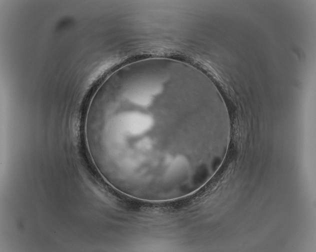 X0000113780679200910071224