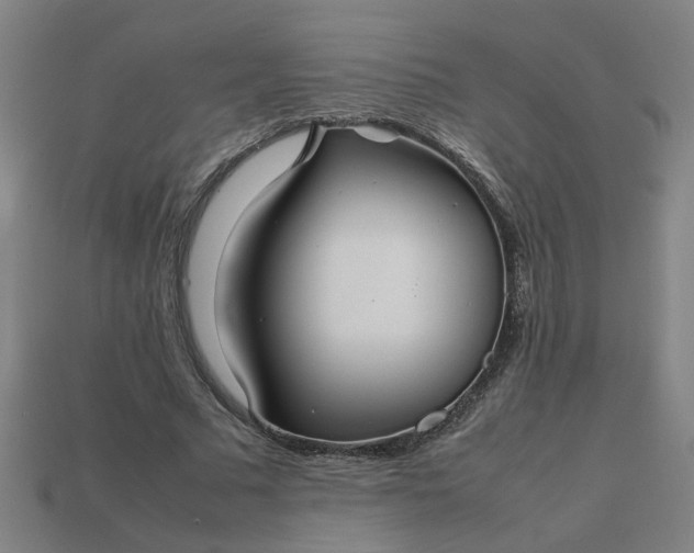 X0000113780681200910071224