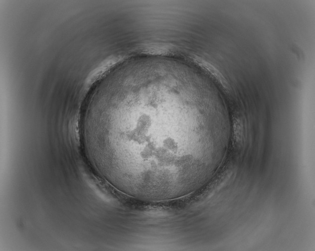 X0000113780682200910071224