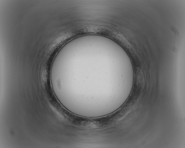 X0000113780683200910071224