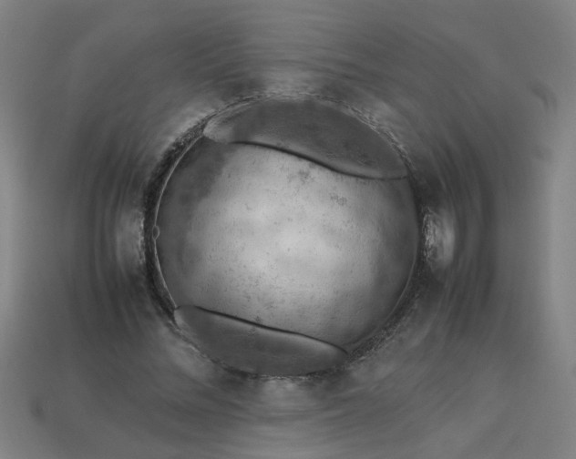 X0000113780684200910071224