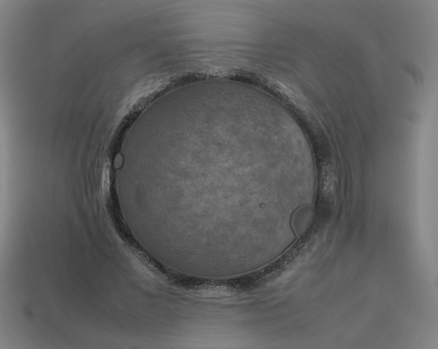 X0000113780685200910071224