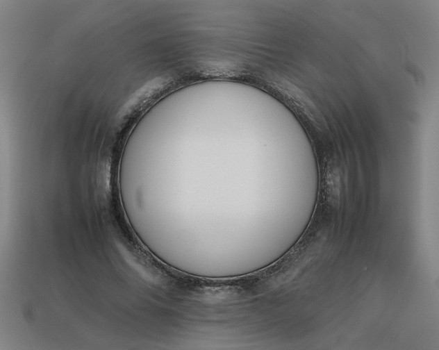 X0000113780686200910071224