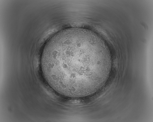 X0000113780687200910071224