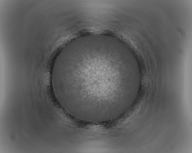 X0000113780689200910071224