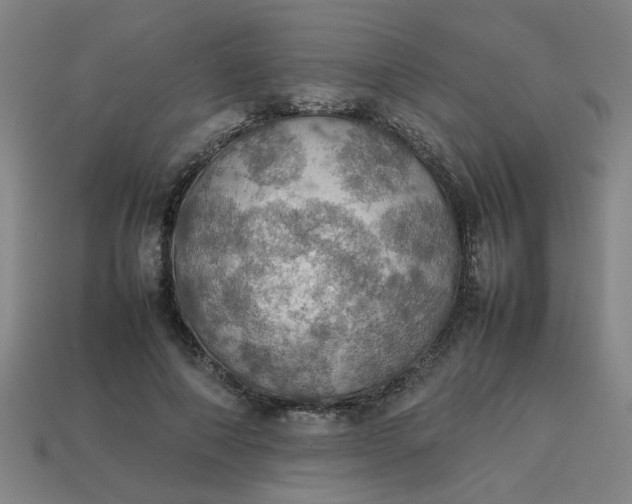 X0000113780690200910071224