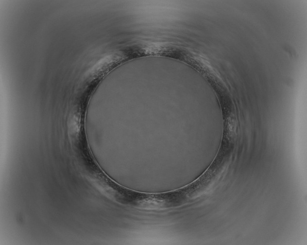 X0000113780691200910071224