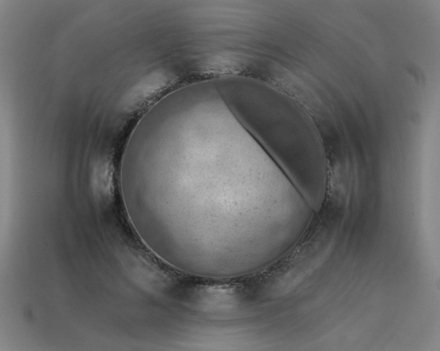 X0000113780692200910071224