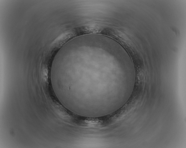 X0000113780693200910071224