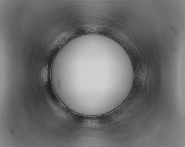 X0000113780694200910071224