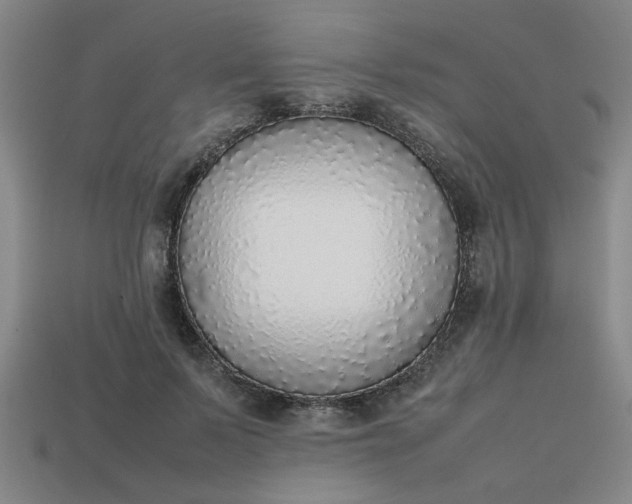 X0000113780695200910071224