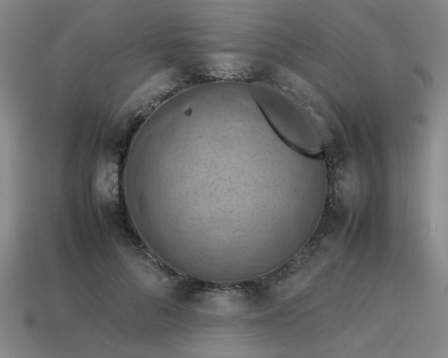 X0000113780696200910071224