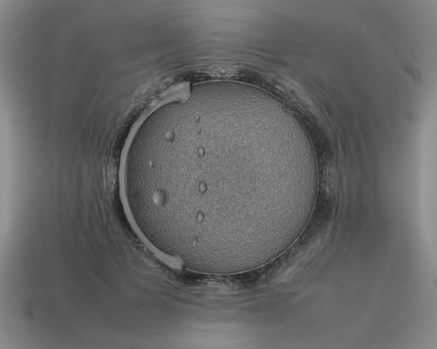 X0000113780697200910071224