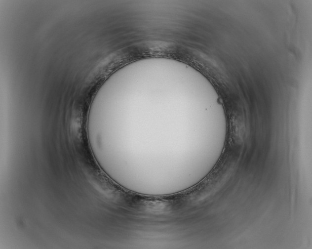 X0000113780698200910071224