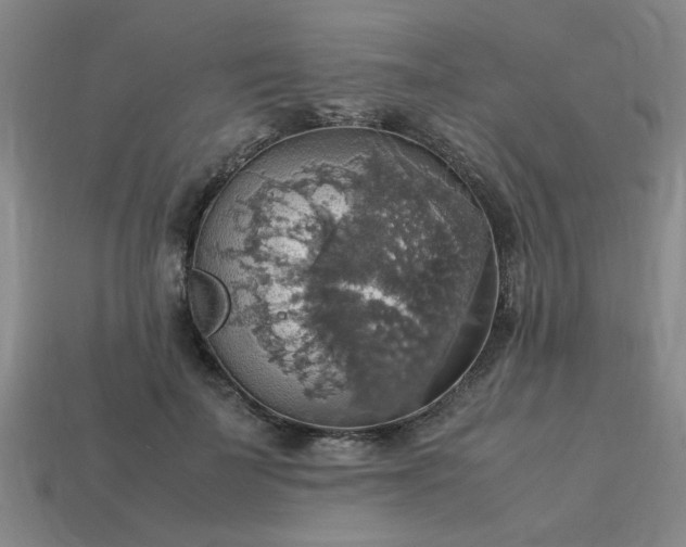 X0000113780699200910071224