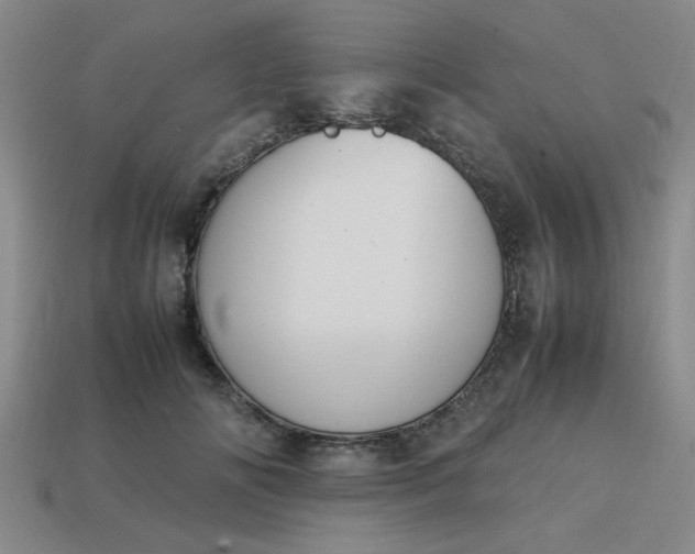 X0000113780702200910071224