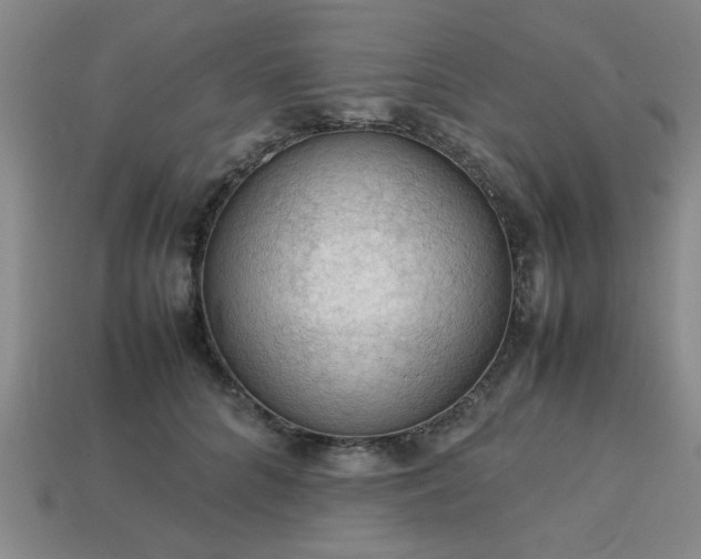 X0000113780704200910071224