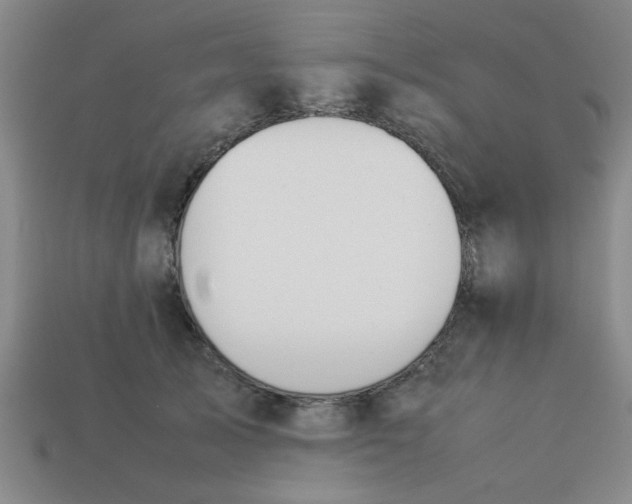 X0000113780705200910071224