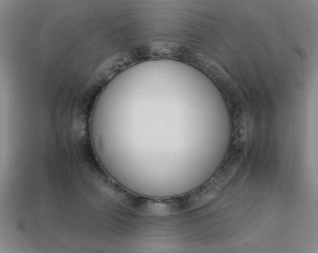 X0000113780706200910071224