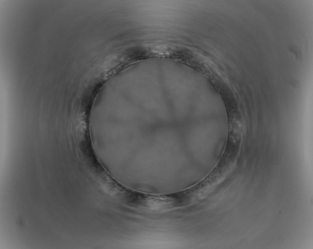 X0000113780707200910071224