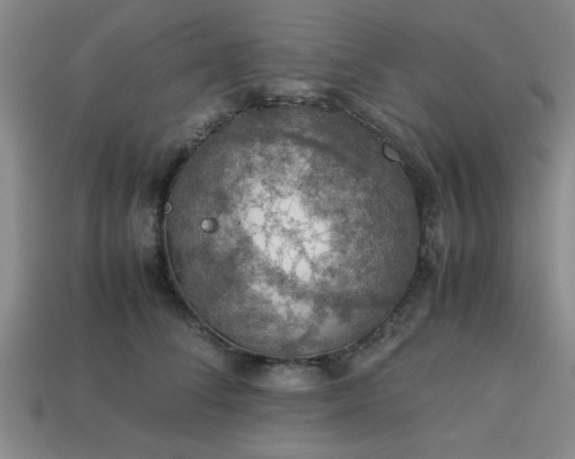 X0000113780708200910071224