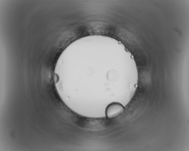 X0000113780709200910071224