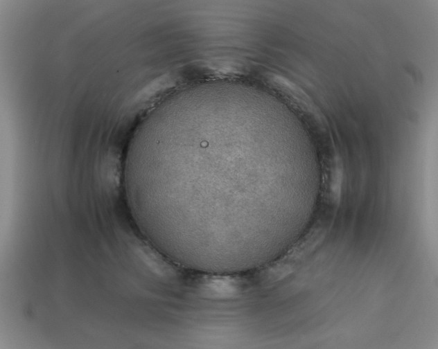 X0000113780710200910071224