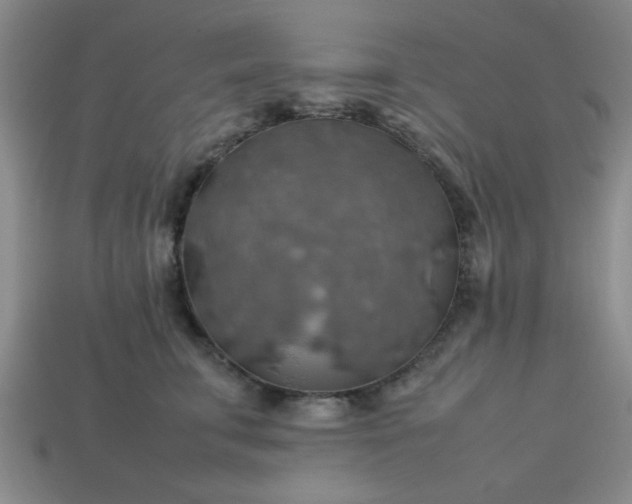 X0000113780711200910071224