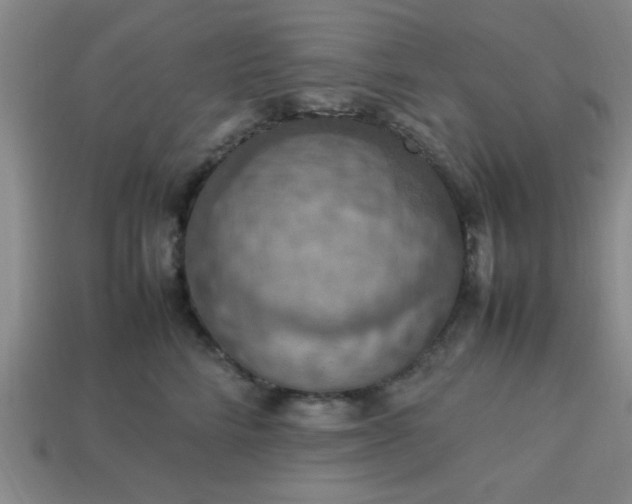 X0000113780712200910071224