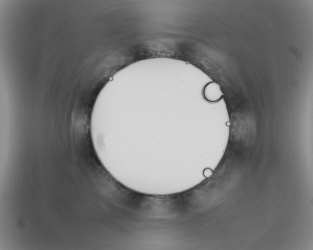 X0000113780713200910071224