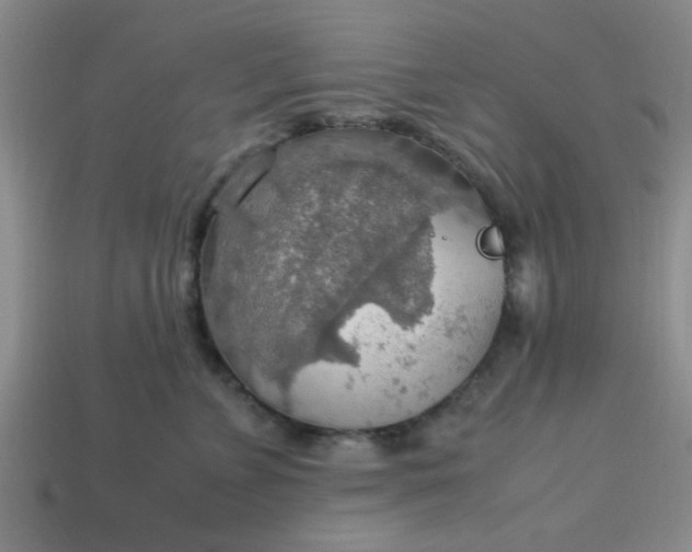 X0000113780715200910071224