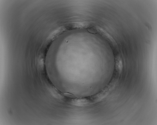 X0000113780716200910071224