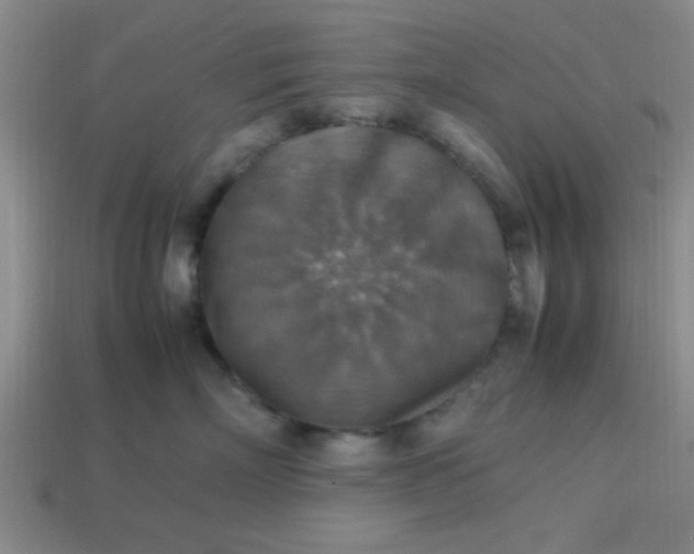 X0000113780718200910071224