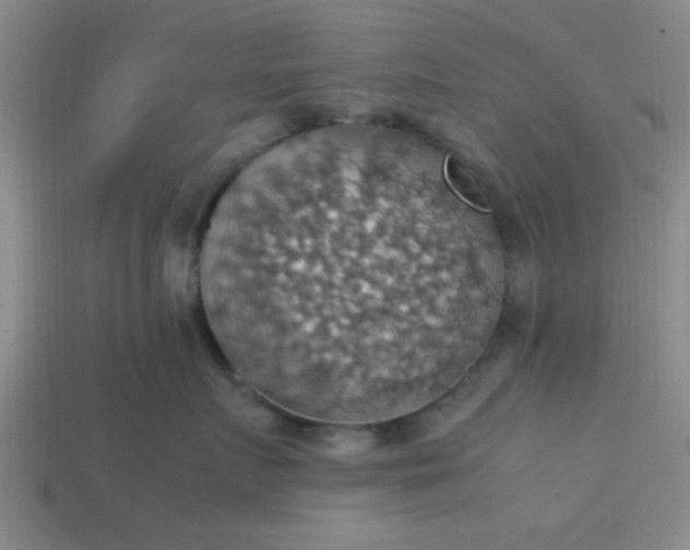 X0000113780719200910071224