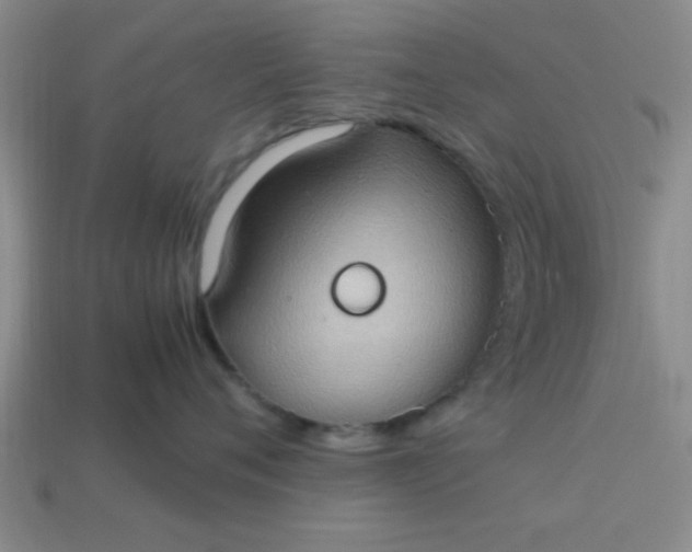 X0000113780720200910071224