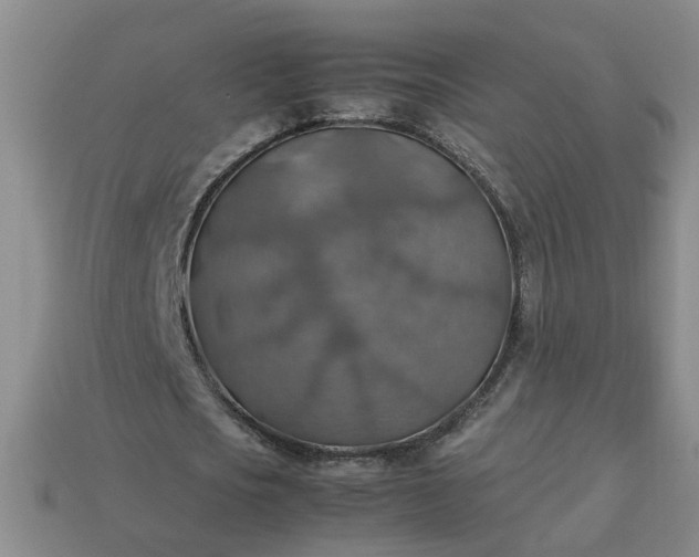 X0000113780721200910071223