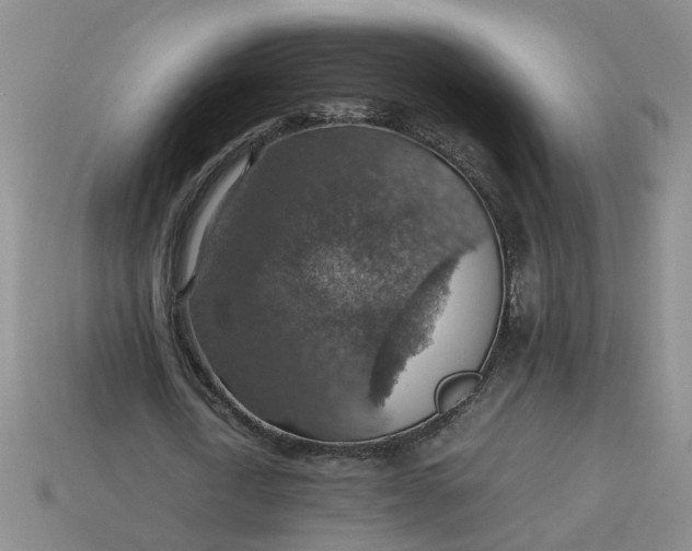 X0000113780722200910071223