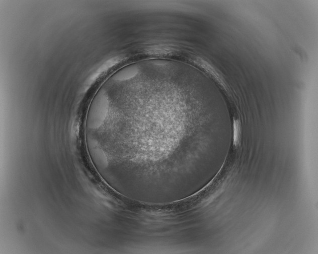 X0000113780723200910071223