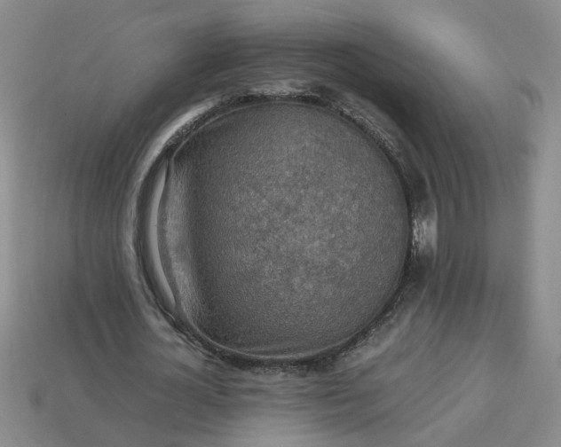 X0000113780724200910071223