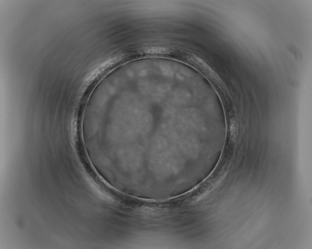 X0000113780725200910071223