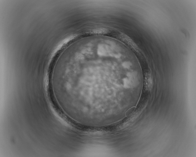 X0000113780726200910071223