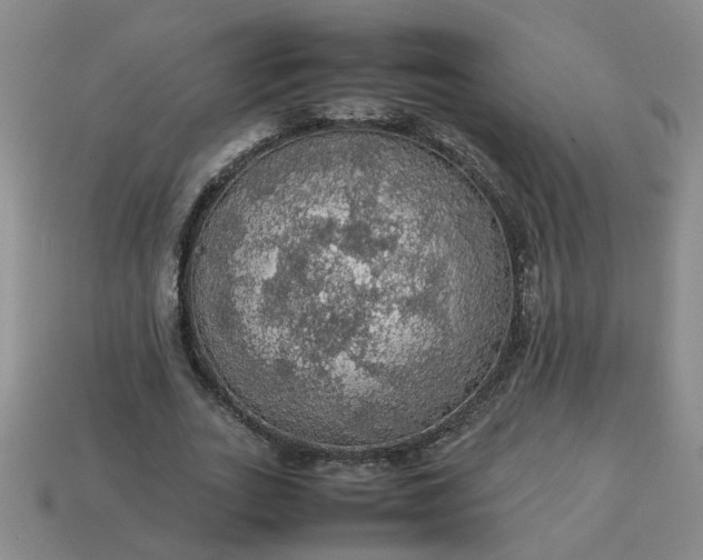 X0000113780727200910071223