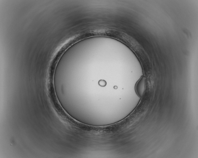 X0000113780728200910071223