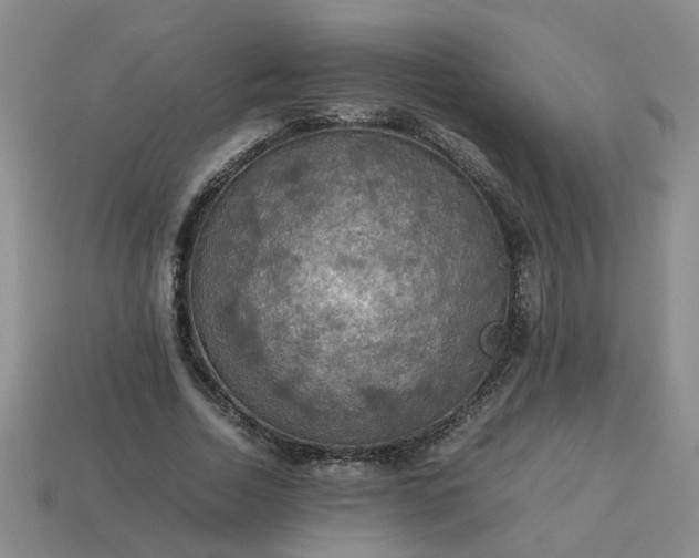 X0000113780730200910071223