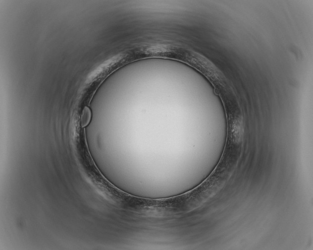 X0000113780732200910071223